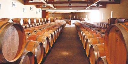 Chateau Deyrem Valentin Fasskeller